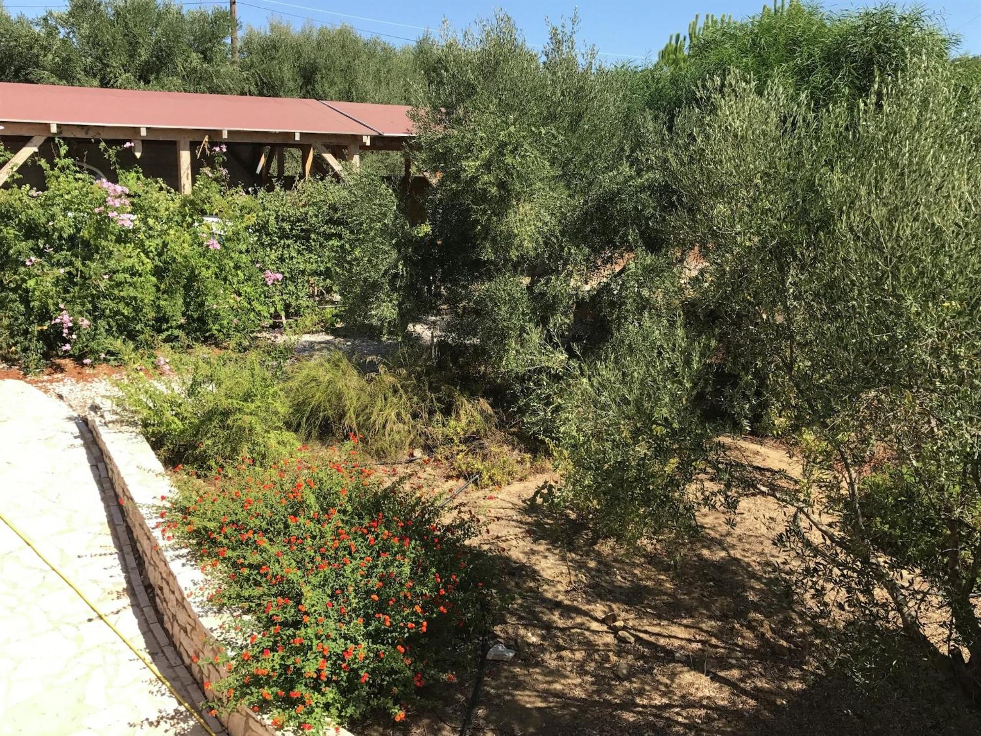 Luxurious Villa In Peloponnese With Swimming Pool Kamária Eksteriør billede